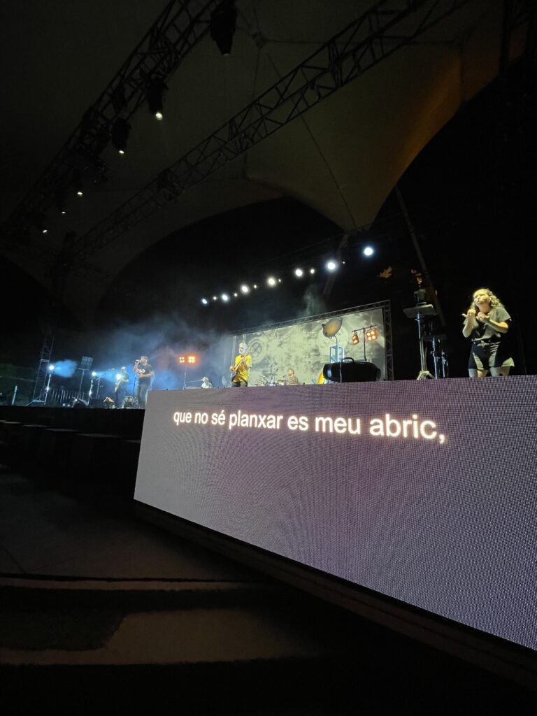 Subtitulació en directe i llengua de signes concert Antònia Font
